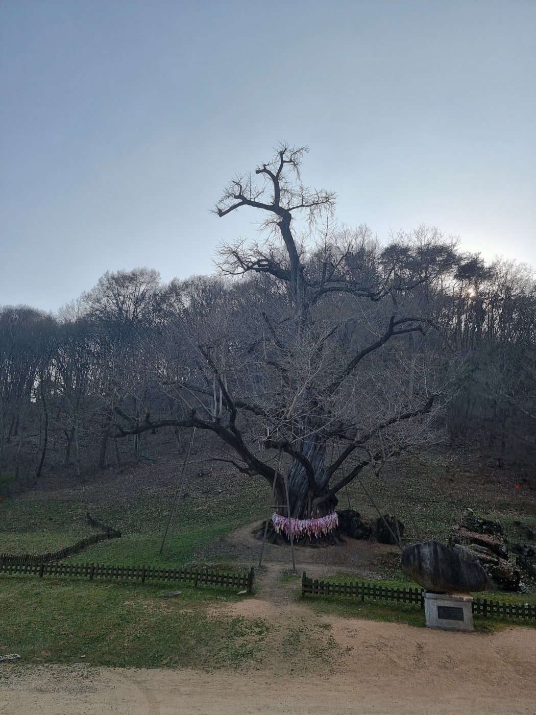 2000769928_VrBOPn59_4f19a1ad482f1c9fbb6d267285ca0d13f0301172.jpg 이미지크게보기