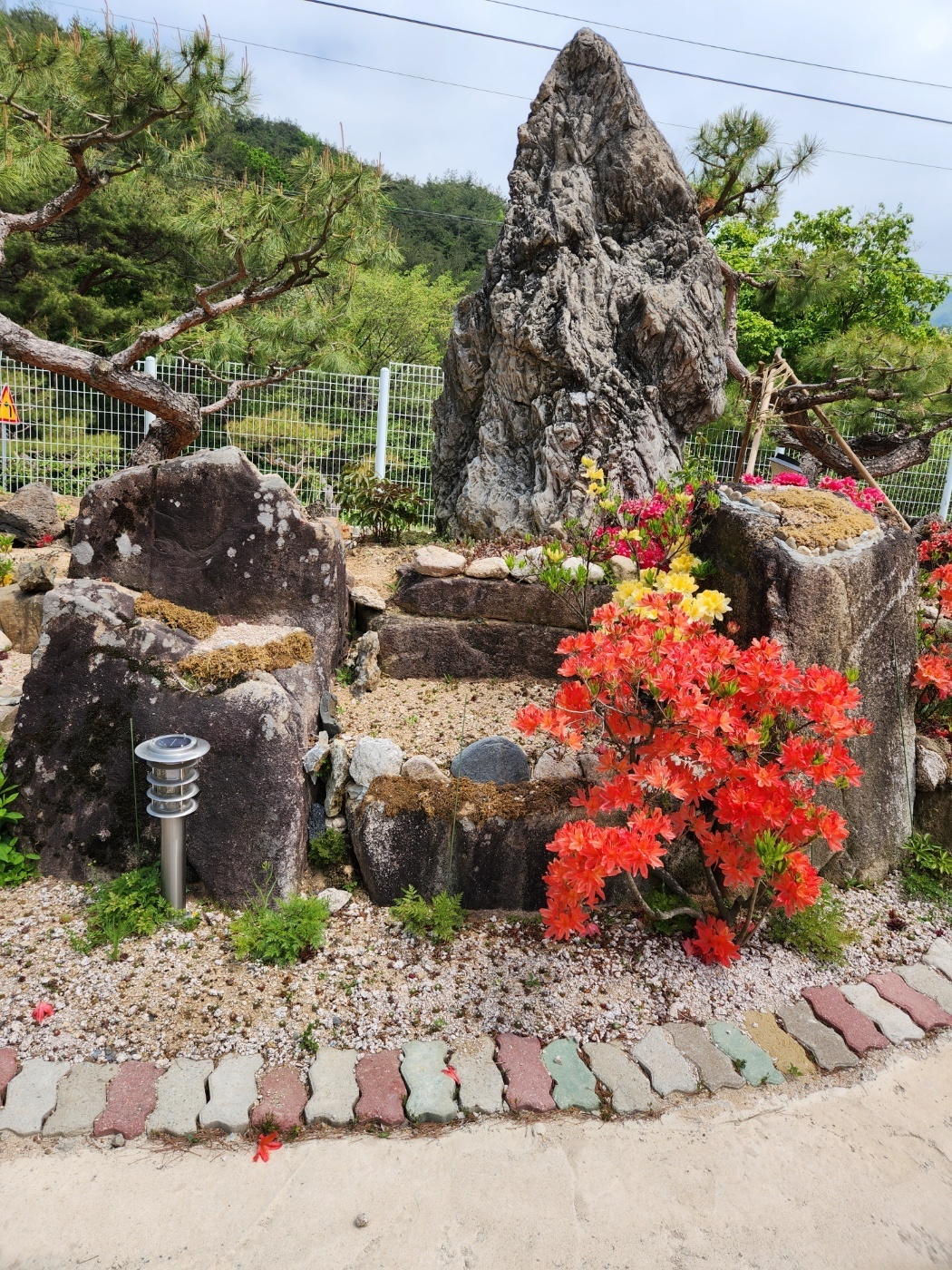 2000769928_XlM1shLt_37c3a2d226a6f2bd6f92f31ae5faf238d431b61a.jpg 이미지크게보기